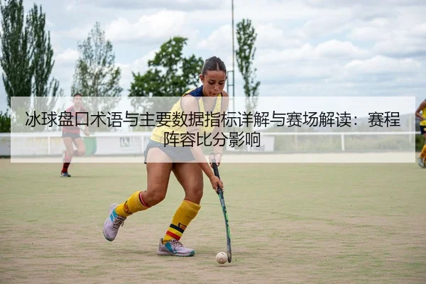 冰球盘口术语与主要数据指标详解与赛场解读：赛程阵容比分影响
